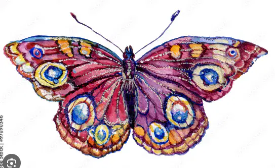 Media Image