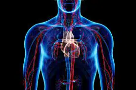 Apologia Advanced Biology Module 11 Circulatory System