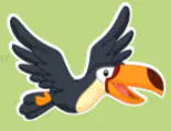 Media Image