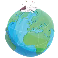 Media Image