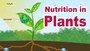 Class 7 Nutrition in Plants