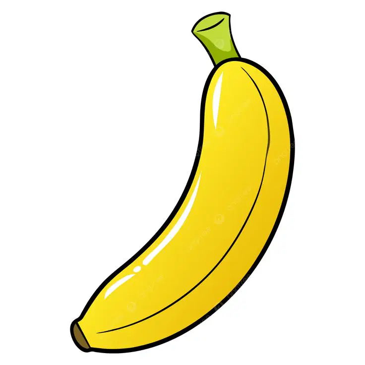 Media Image
