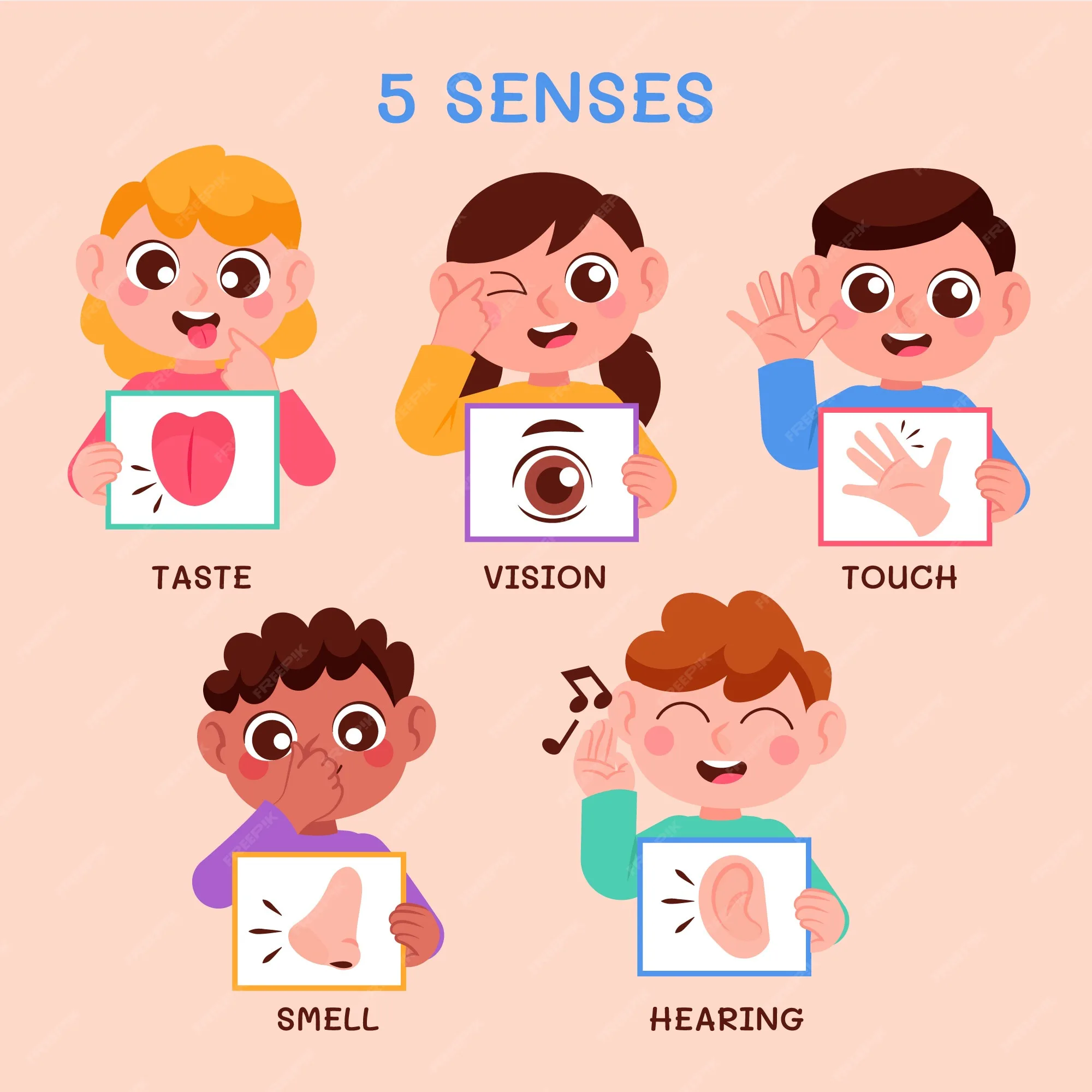 Five Senses Writing 4th Grade Quiz | Quizizz