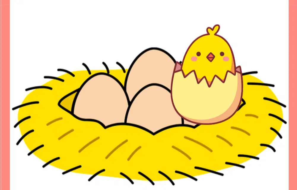 Media Image