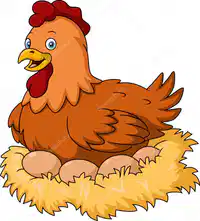 Media Image