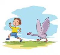 Media Image