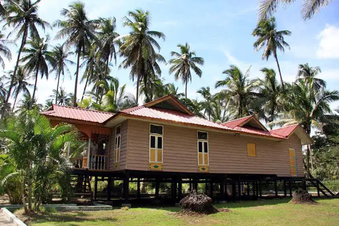 Media Image