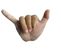 Media Image