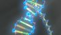 Heredity and DNA Replication
