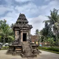 Media Image