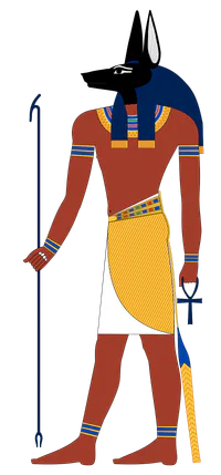 Media Image