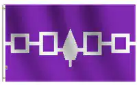Media Image