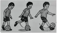 Media Image
