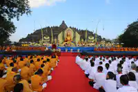 Media Image