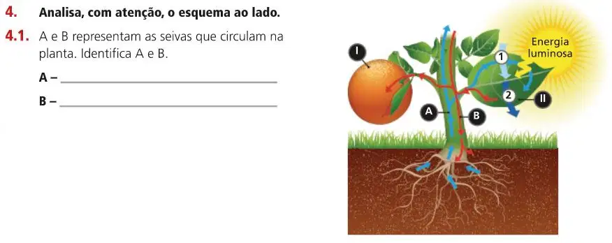 Question image