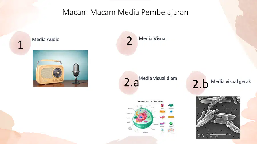 media