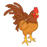 Media Image