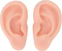 Media Image