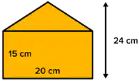 Media Image
