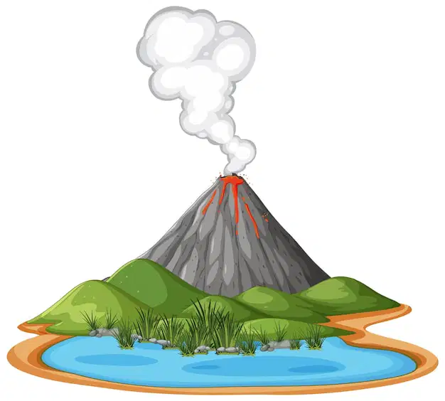 Media Image