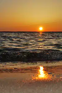 Media Image