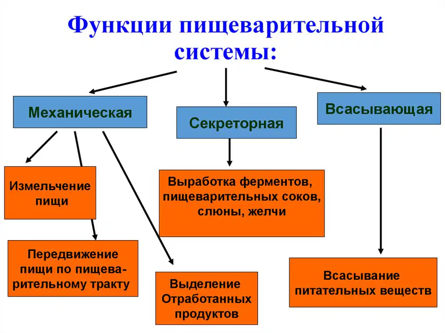 media