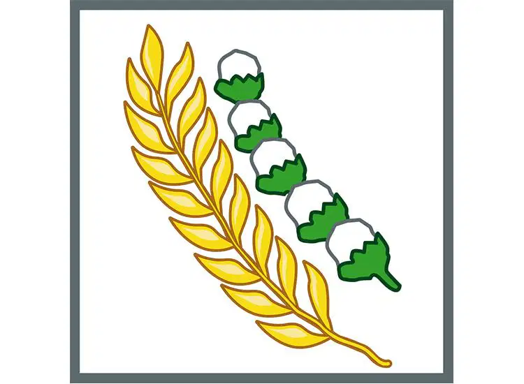 Media Image
