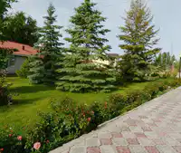 Media Image