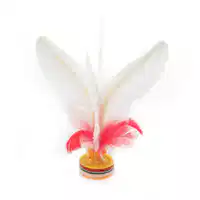 Media Image