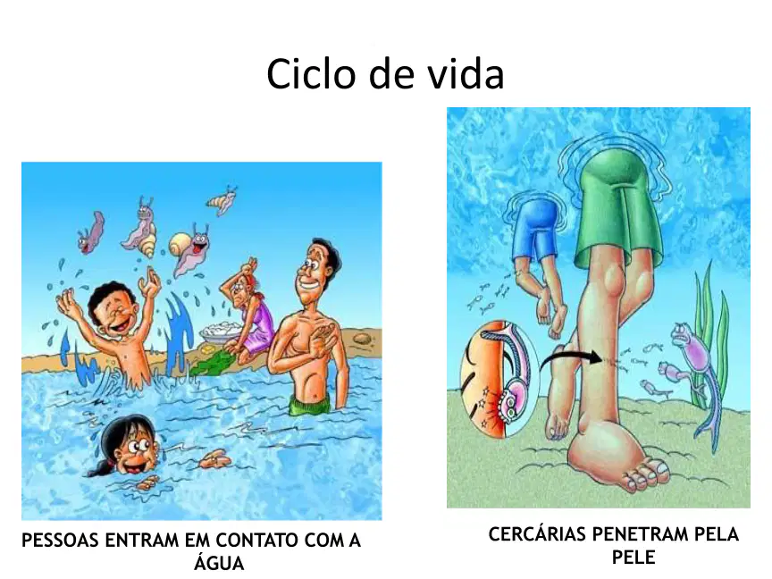 media