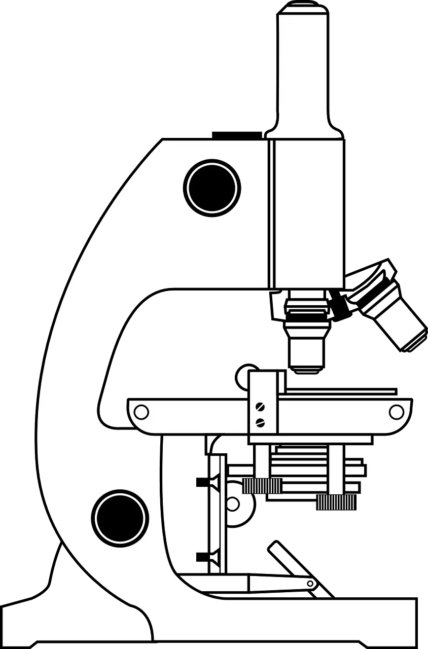 Exploring Microscopy Techniques Quiz