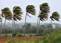 Media Image