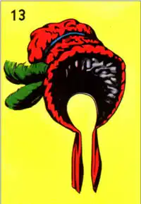 Media Image