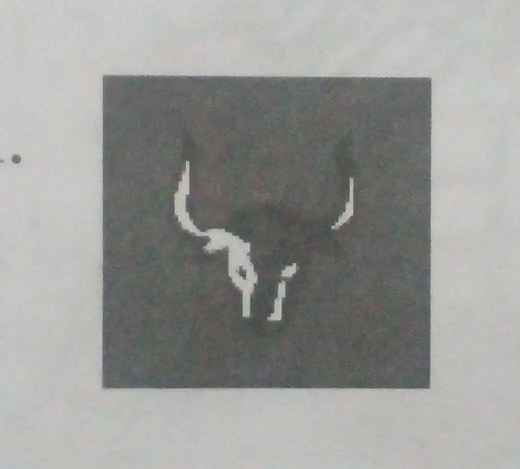 Media Image
