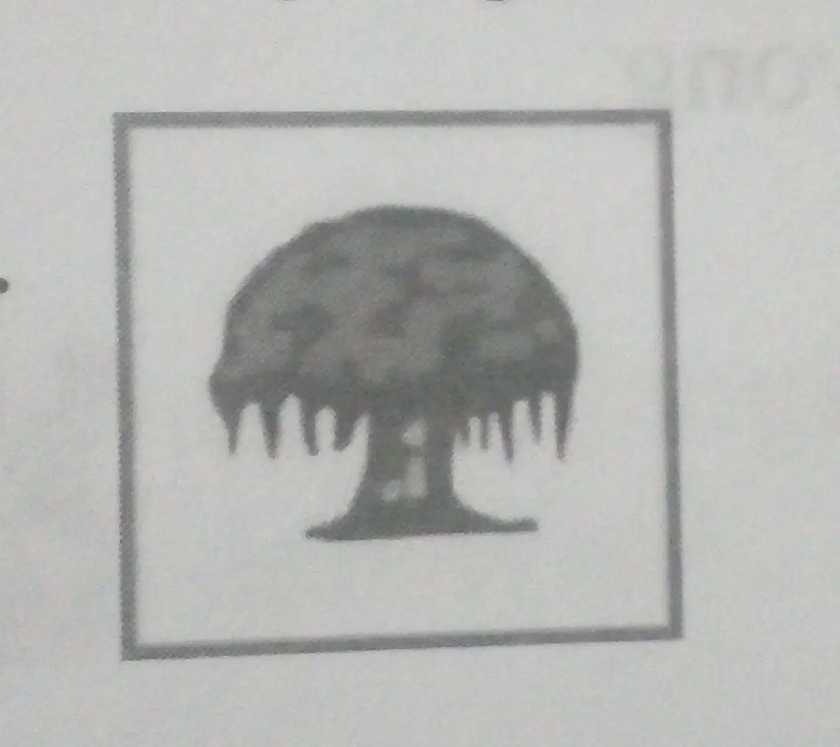 Media Image