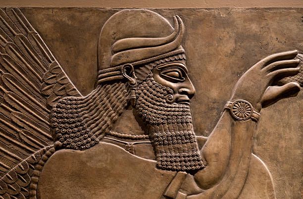 media
