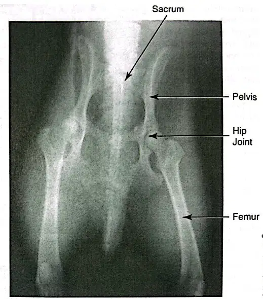 Question Image