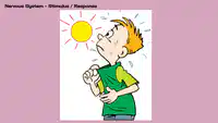 Media Image