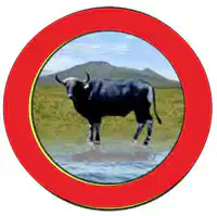 Media Image