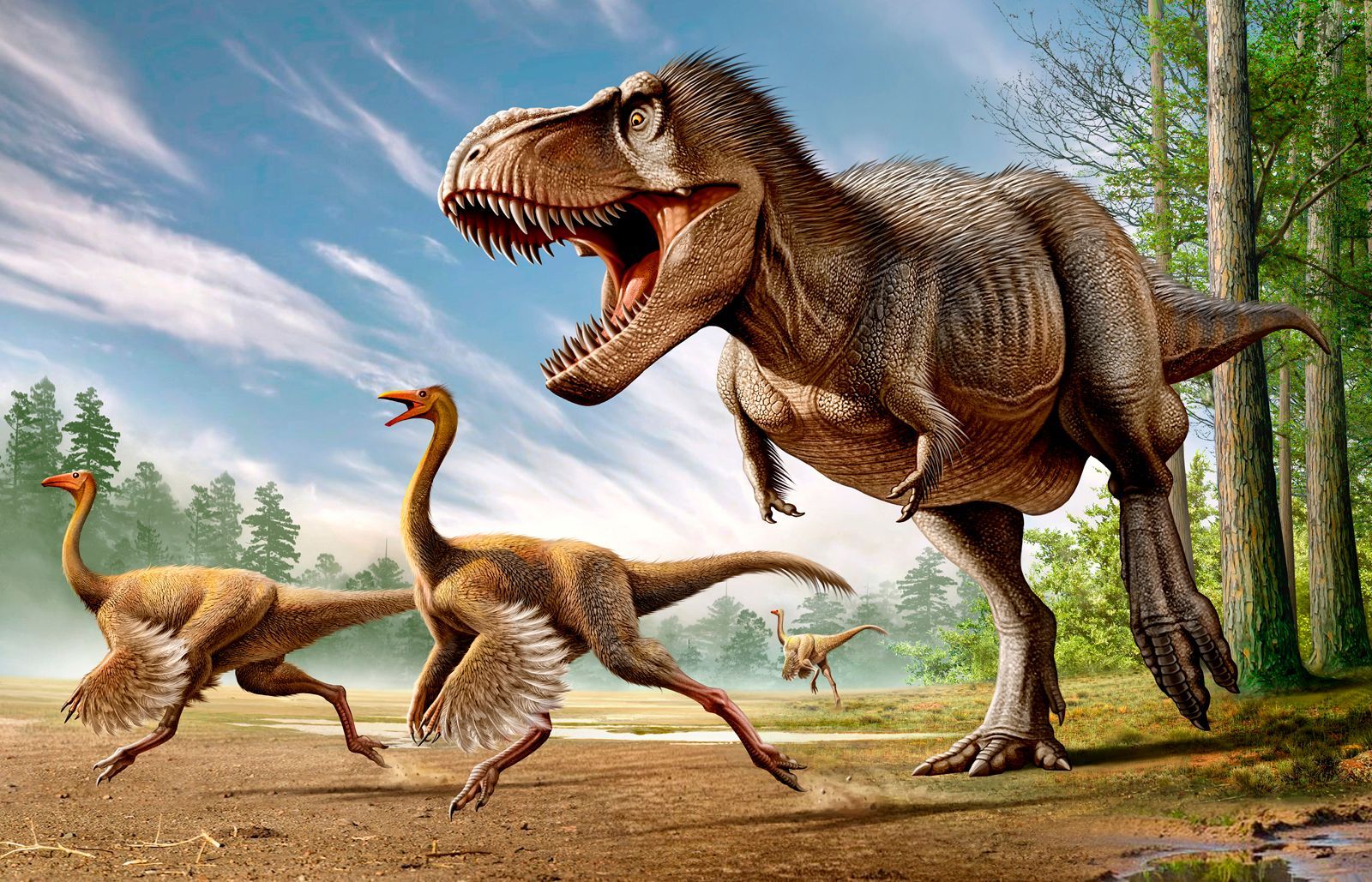 The History of Life on Earth Test Reveiw