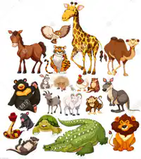 Media Image