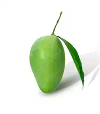 Media Image