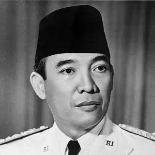 Media Image