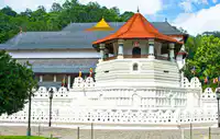 Media Image