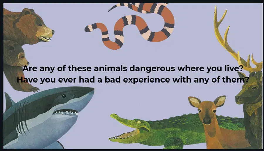 media