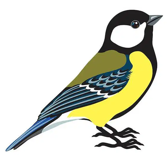 Media Image