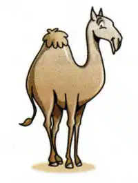 Media Image