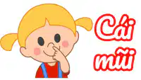Media Image