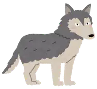 Media Image
