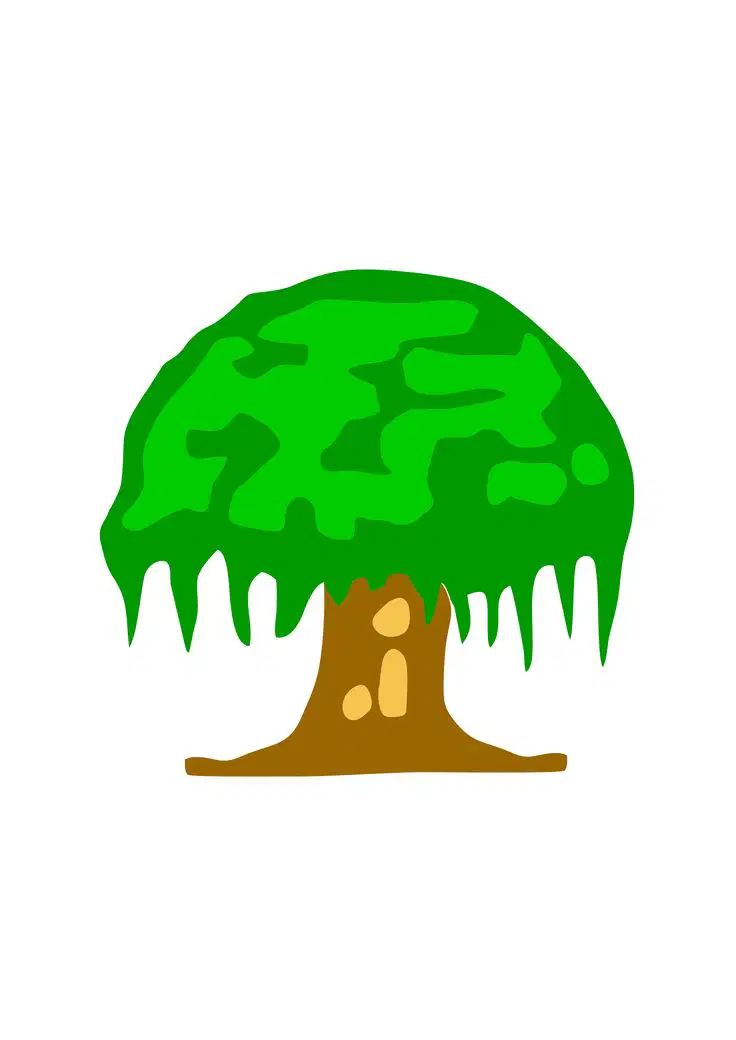 Media Image